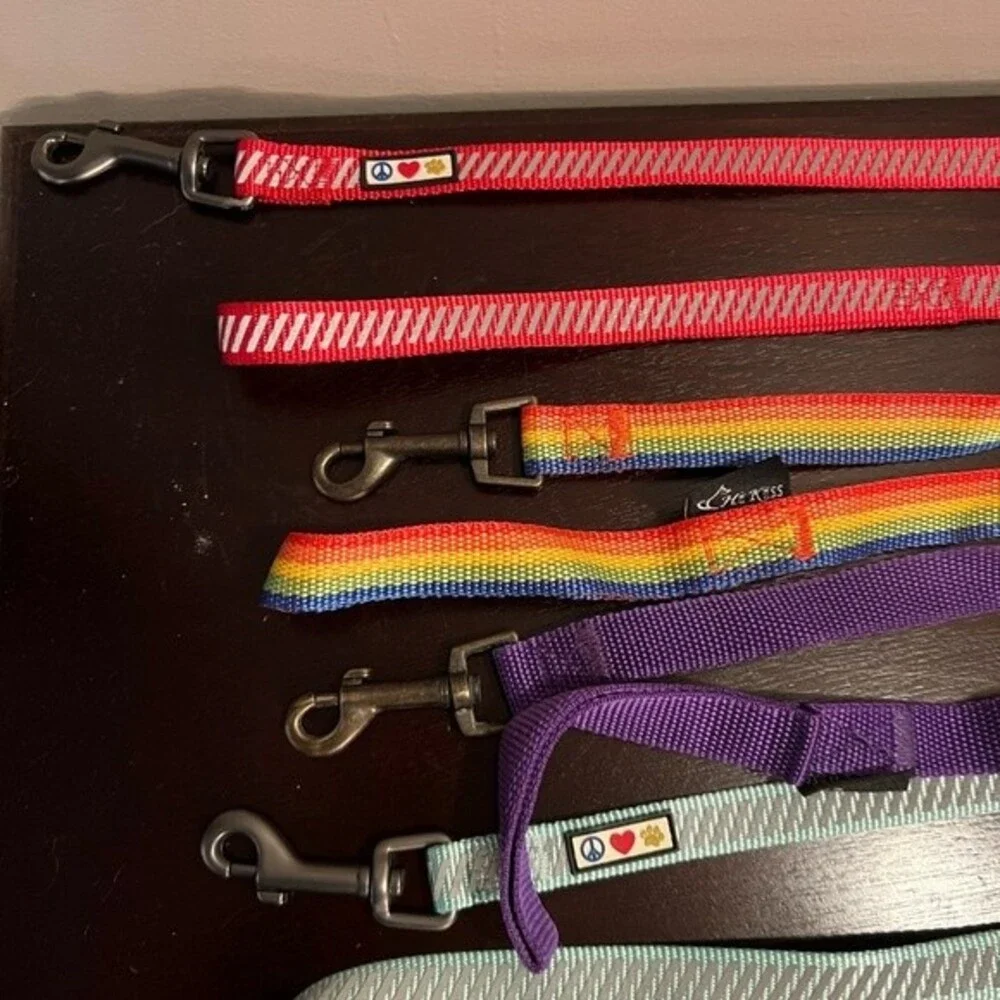 Pawtitas Red Reflective Traffic Dog Leash XS/Small bundle set of 5
